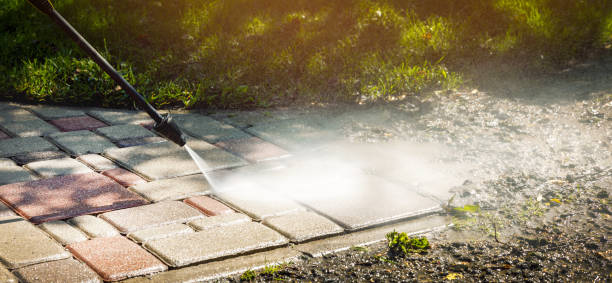 Best Dumpster Area Cleaning  in La Fayette, AL